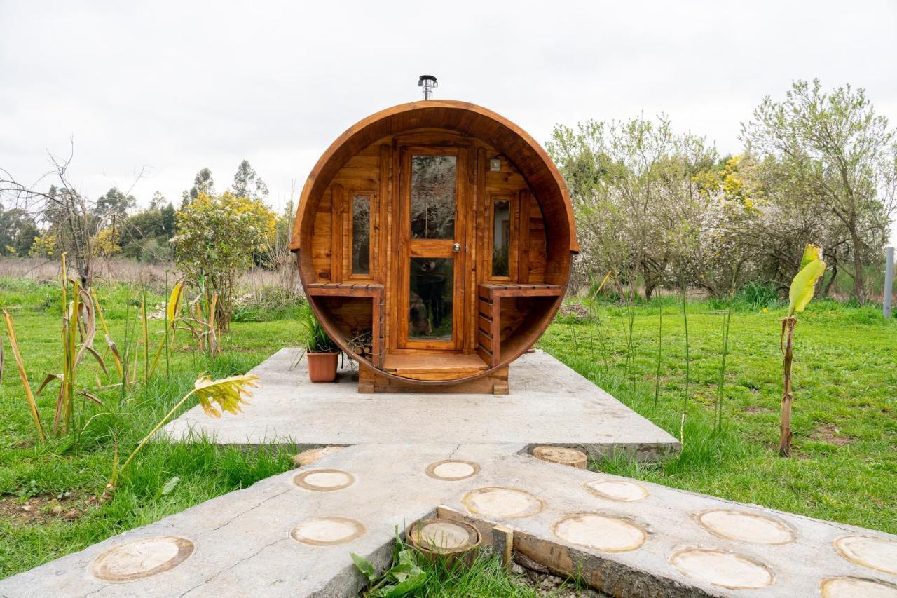 La Casa De Adobe Natural Y Mas Bulnes Eksteriør billede