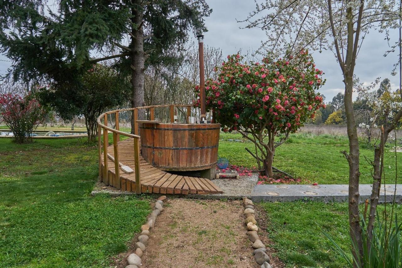La Casa De Adobe Natural Y Mas Bulnes Eksteriør billede