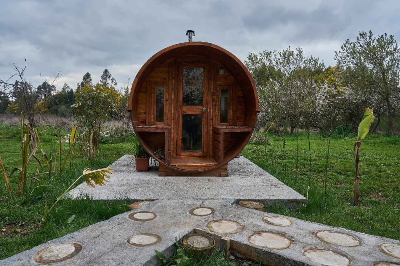 La Casa De Adobe Natural Y Mas Bulnes Eksteriør billede
